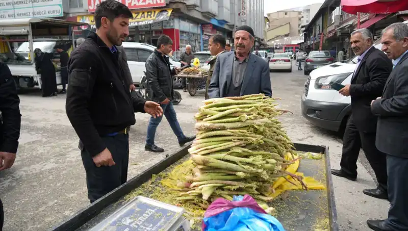 Şeker Ürünleri Dağlık Alanlardan Geliyor: Mide ve Kanser Üzerindeki Etkileri