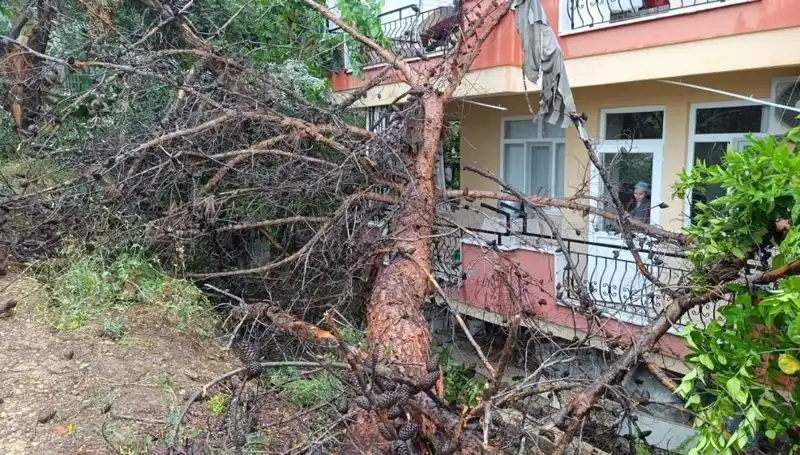 Yağışlarla Yıpranan Bina, Fırtınada Yerle Bir Oldu
