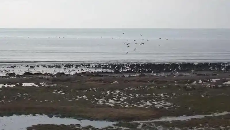 Türkiye’nin En Büyük Gölü: Doğal Güzellik Tehlike Altında!