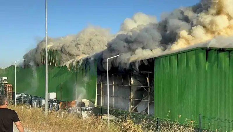 Balıkesir'deki Fabrika Yangınında İki İşçi Hayatını Kaybetti: Bir Tutuklama Gerçekleşti