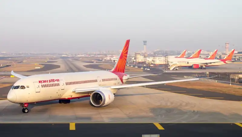 Seyahat Valizinde Neler Saklıydı? 48 Zehirli Yılan ve 5 Kaplumbağa Yakalandı!