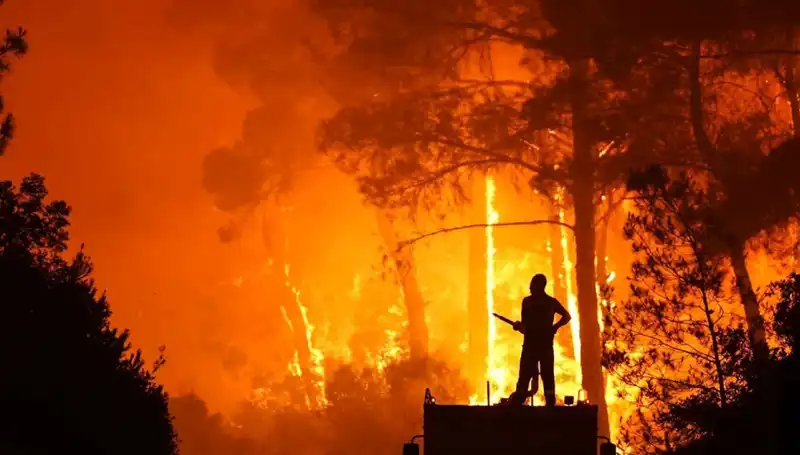 İzmir ve Bursa Yangınlarında Şok Gelişme: İki Şüpheli Tutuklandı