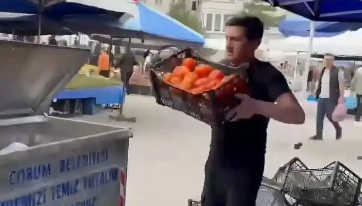 Domatesleri çöpe atan pazarcıya rekor seviyede para cezası kesildi!