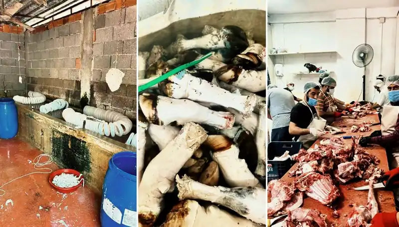 Adana'da Mide Bulandıran Paça Skandalı: Yüzlerce Kilo Ele Geçirildi